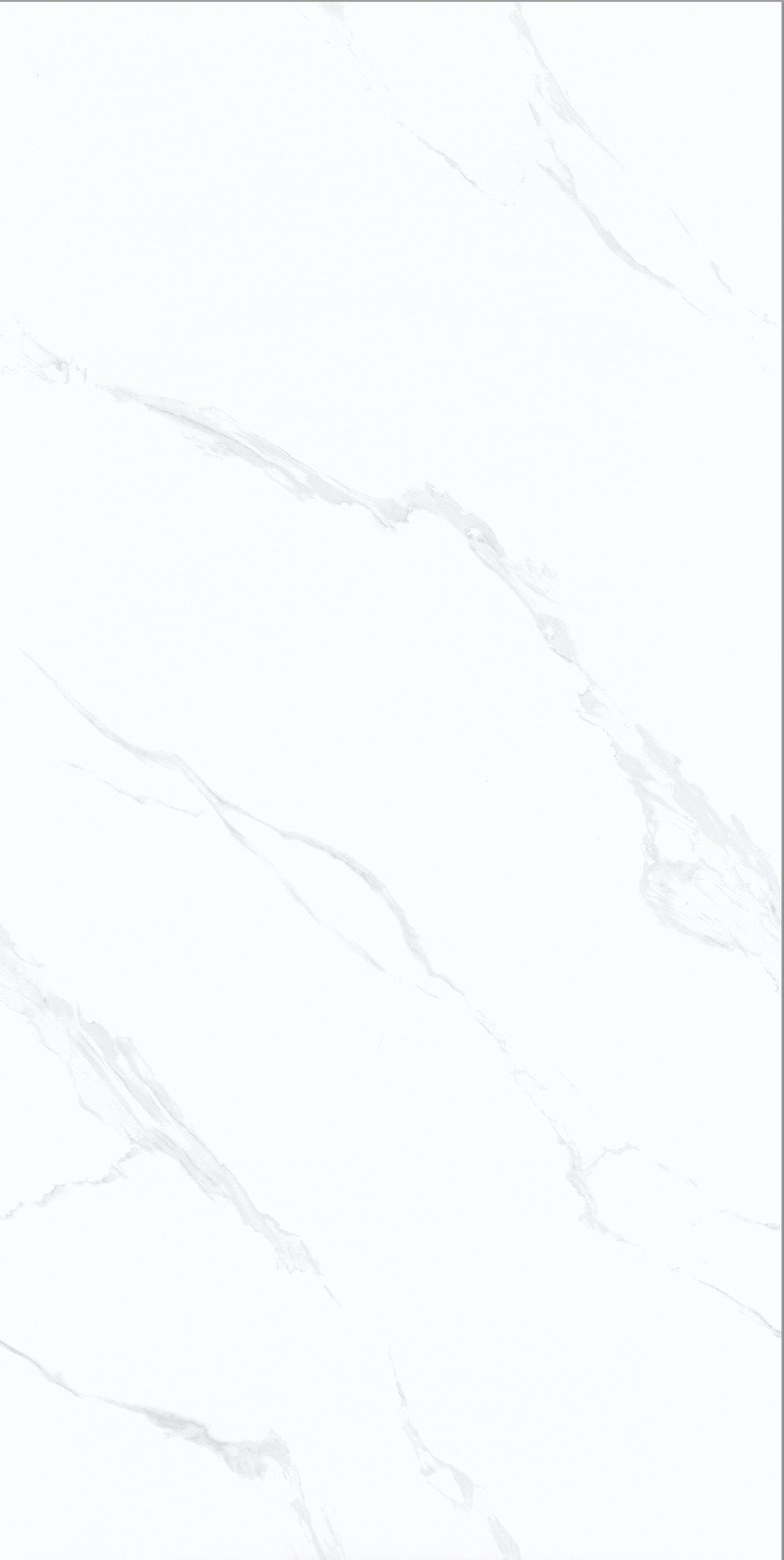 細雪花白 VT17555產品圖